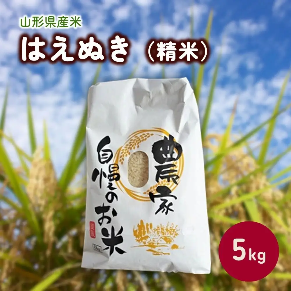 【２０２６年１１月～発送】令和８年産　はえぬき（精米）５ｋｇ　0030-2634