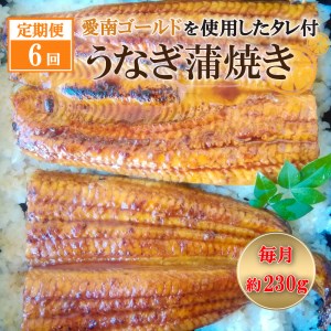 定期便 6回 四万十うなぎ 約230g×6回 愛南ゴールド 入り うなぎのたれ セット うなぎ 蒲焼 ひつまぶし 国産 鰻 土用の丑の日 タレ ごはん ギフト 贈答用 山椒 四万十 愛南 愛媛