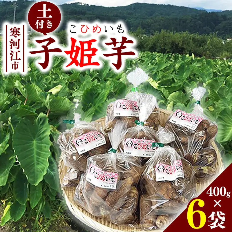 里芋 子姫芋（こひめいも）土付 2.4kg以上（400g×6袋） 山形 令和8年産 2026年産 【2026年9月下旬頃から11月上旬頃配送予定】　016-B-CS001