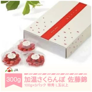 【先行予約】加温ハウス さくらんぼ 佐藤錦 2027年産 令和9年産 ja-snpcx300