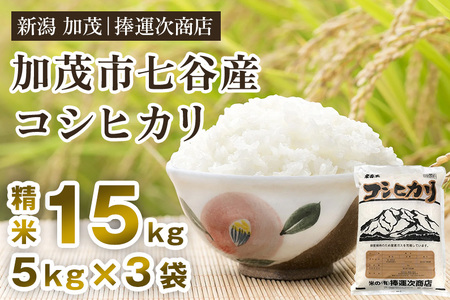 【令和6年産米】七谷産コシヒカリ 精米15kg（5kg×3）白米 捧運次商店