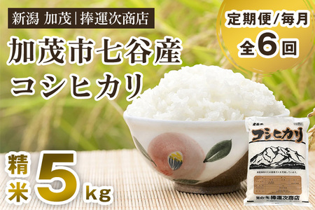 【令和6年産米】【定期便6ヶ月毎月お届け】七谷産コシヒカリ 精米5kg 白米 捧運次商店