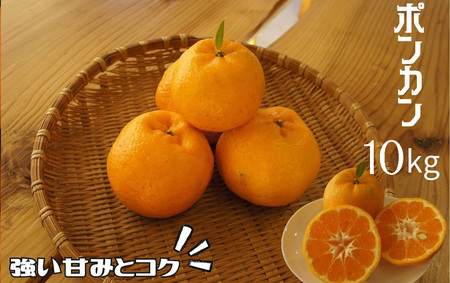 【先行予約＿2027年出荷分】湯の花　ポンカン10kg箱セット