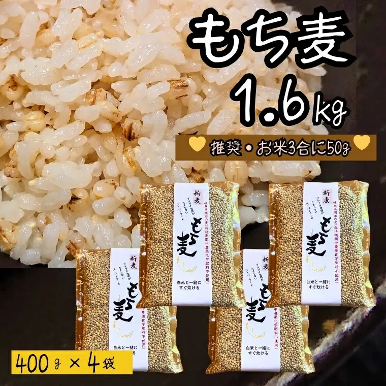 もち麦 【1.6kg】 そのままごはんと一緒にすぐ炊ける 8ぶづき ～栽培期間中 化学肥料 農薬不使用～G15-11 