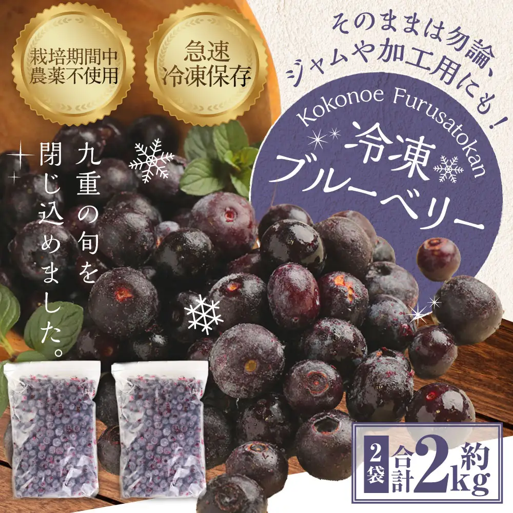 九重町産 冷凍 ブルーベリー 約2kg (1kg×2袋) 果物 フルーツ 冷凍フルーツ 冷凍果物 大分県 九重町産 