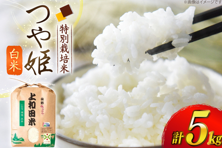 令和7年度 特別栽培米 つや姫 白米 5kg