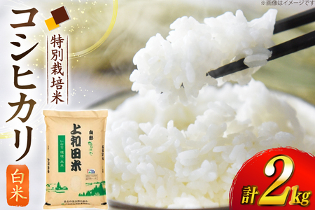 令和7年度 特別栽培米 コシヒカリ 白米 2kg