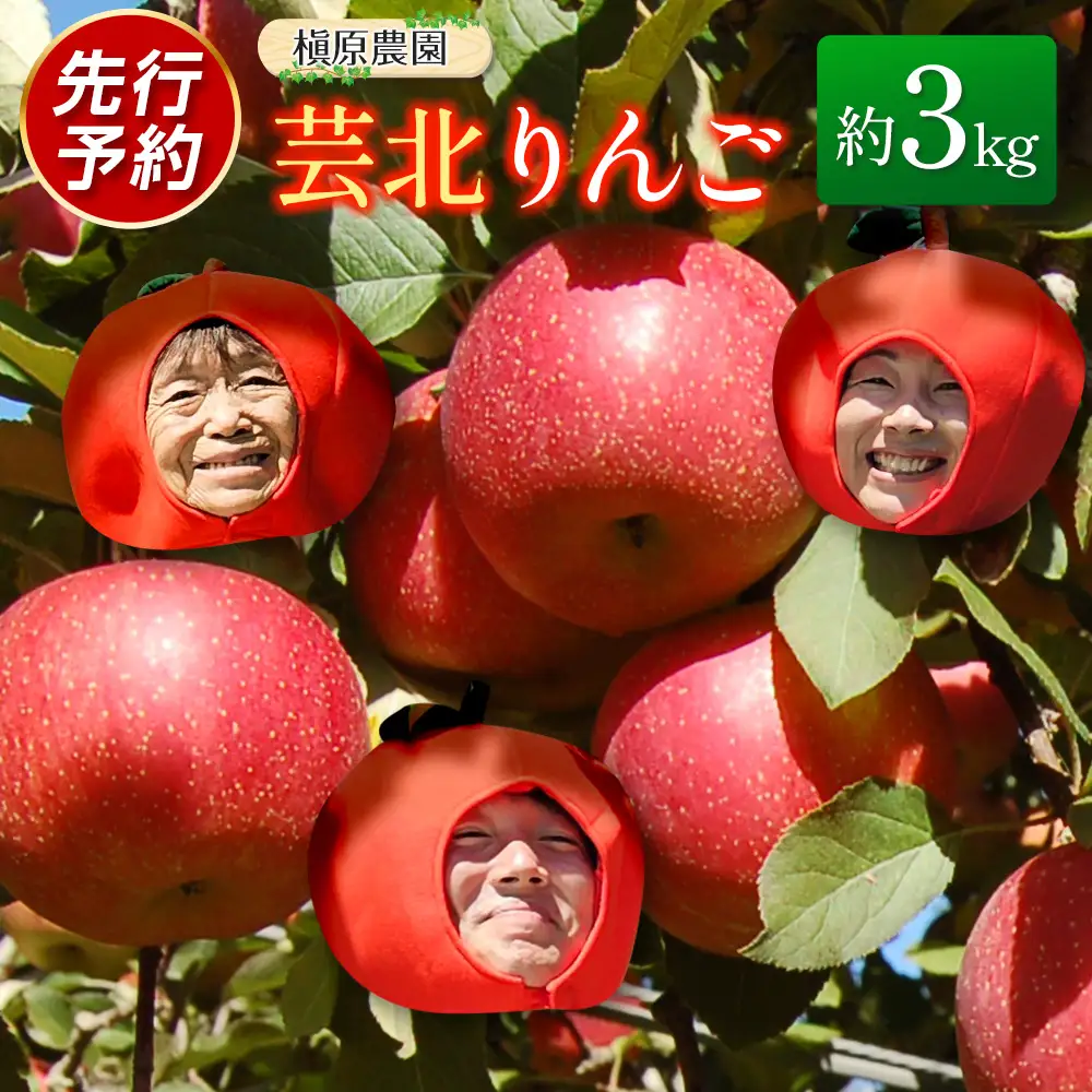≪10月中旬以降発送≫りんご 国産 3kg 農家直送 槇原農園 芸北りんご 林檎 トキ 早生ふじ 千秋 シナノドルチェ シナノスイート ぐんま名月 シナノゴールド ふじ_MA077_001