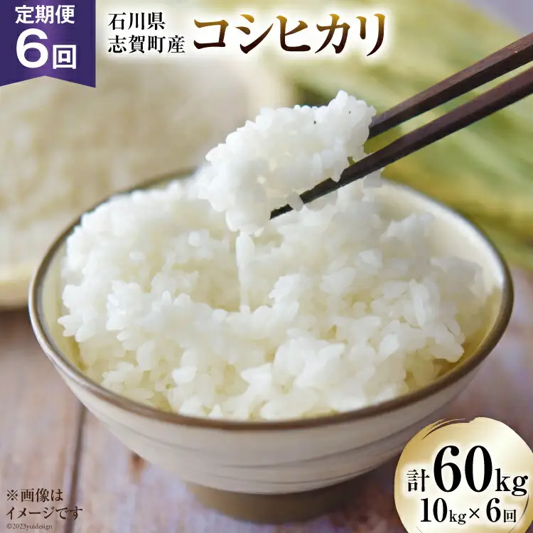【6回 米 定期便】【令和8年産】米 コシヒカリ 10kg ×6回 総計 60kg 
