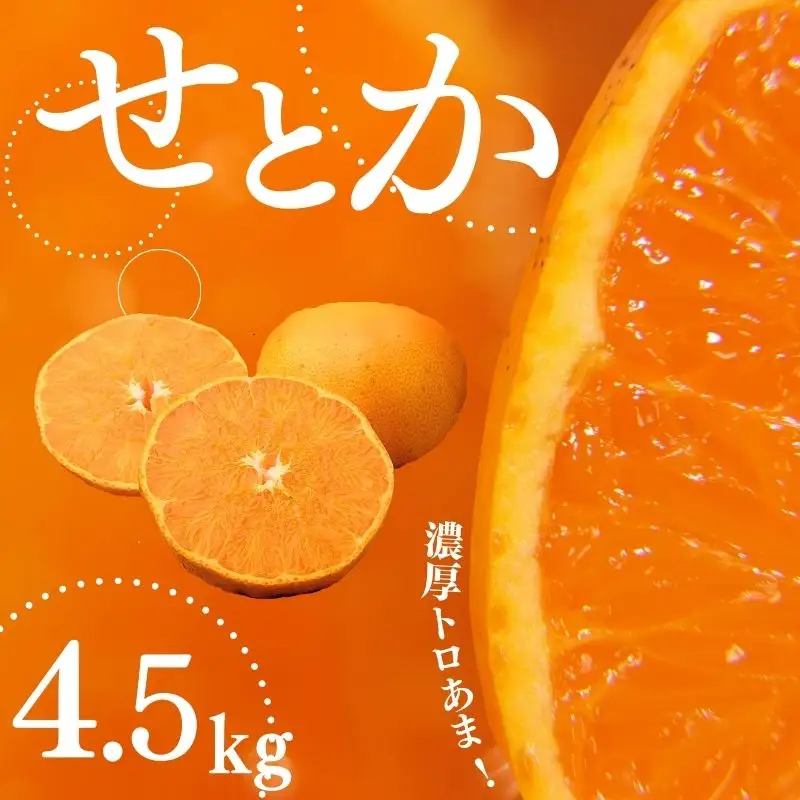 専用♥みかん❤もっちりニット×６重ガーゼ⭐超特大ブランケット♥ せとか たにぐち農園のせとか 4.5kg ご家庭用【mtn012C】 | 三重県紀宝