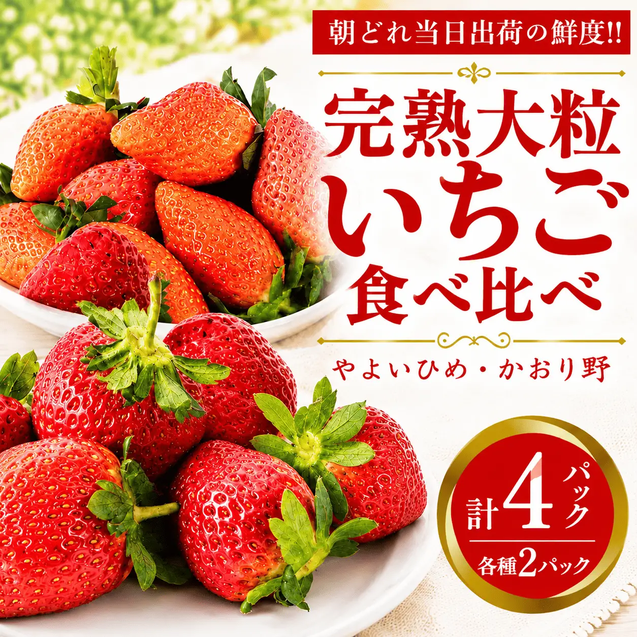 いちご 食べ比べ セット 4パック かおり野 ・ やよいひめ 