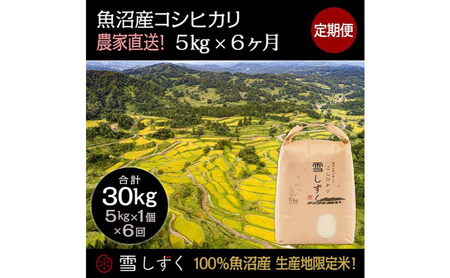 【令和7年産】定期便！魚沼産コシヒカリ【合計30kg】毎月5kg×6回 お米 ブランド米 銘柄米 精米 白米 ご飯 おにぎり お弁当 和食 産地直送 