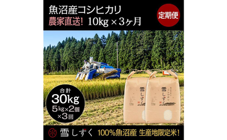 【令和7年産】定期便！魚沼産コシヒカリ【合計30kg】毎月10kg×3回 お米 ブランド米 銘柄米 精米 白米 ご飯 おにぎり お弁当 和食 産地直送 