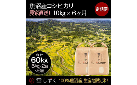 【令和7年産】定期便！魚沼産コシヒカリ【合計60kg】毎月10kg×6回 お米 ブランド米 銘柄米 精米 白米 ご飯 おにぎり お弁当 和食 産地直送 