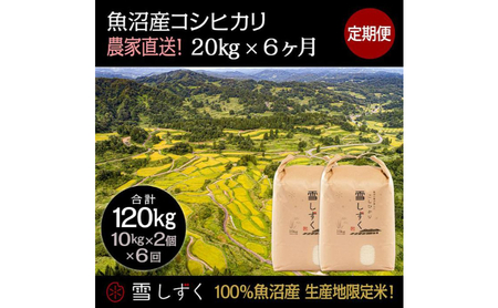 【令和7年産】定期便！魚沼産コシヒカリ【合計120kg】毎月20kg×6回 お米 ブランド米 銘柄米 精米 白米 ご飯 おにぎり お弁当 和食 産地直送 