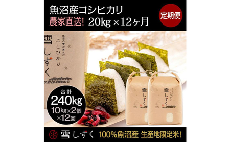 【令和7年産】定期便！魚沼産コシヒカリ【合計240kg】毎月20kg×12回 お米 ブランド米 銘柄米 精米 白米 ご飯 おにぎり お弁当 和食 産地直送 