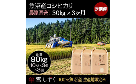 【令和7年産】定期便！魚沼産コシヒカリ【合計90kg】毎月30kg×3回 お米 ブランド米 銘柄米 精米 白米 ご飯 おにぎり お弁当 和食 産地直送 