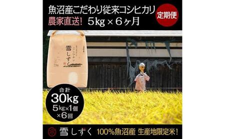 【令和7年産】定期便！魚沼産こだわり従来コシヒカリ【合計30kg】毎月5kg×6回 ブランド米 銘柄米 白米 精米 ご飯 おにぎり お弁当 