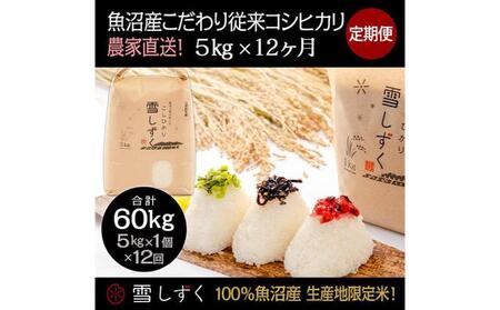 【令和7年産】定期便！魚沼産こだわり従来コシヒカリ【合計60kg】毎月5kg×12回 ブランド米 銘柄米 白米 精米 ご飯 おにぎり お弁当 