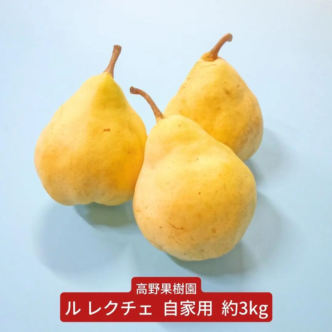 先行予約 ル レクチェ 自家用 3kg 三条市農業マイスターが育てた 新潟県産 ル レクチエ 洋梨