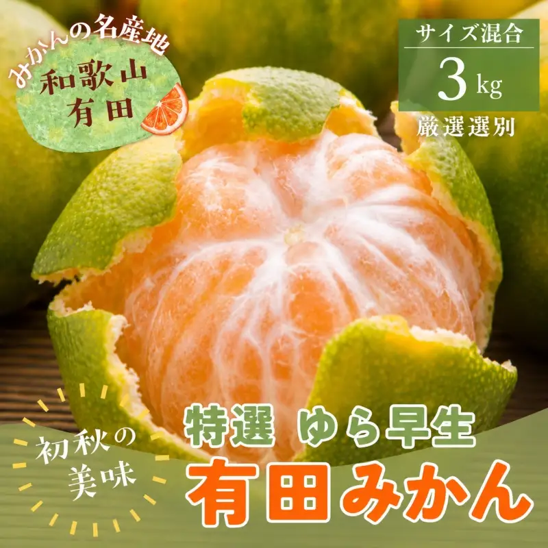 【初秋の美味】特選　ゆら早生有田みかん　約3kg+200g(傷み補償分)【2026年10月中旬～11月上旬頃に順次発送予定】【ard050C】
