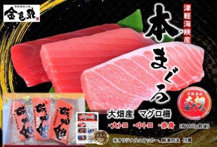 津軽海峡　大畑マグロ　三点セット