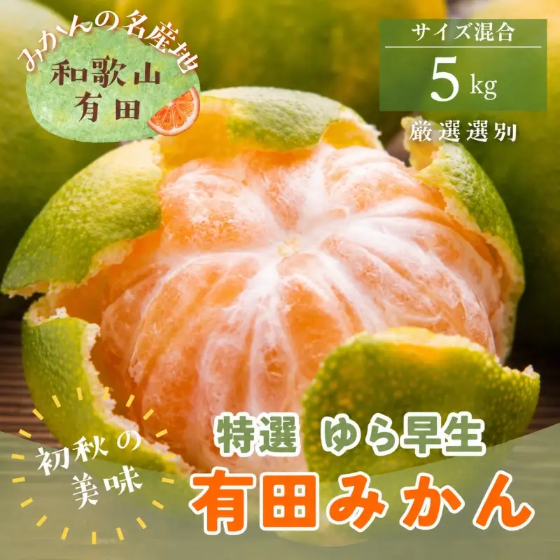 【初秋の美味】特選　ゆら早生有田みかん　約5kg+200g(傷み補償分)【2026年10月中旬～11月上旬頃に順次発送予定】【ard051D】