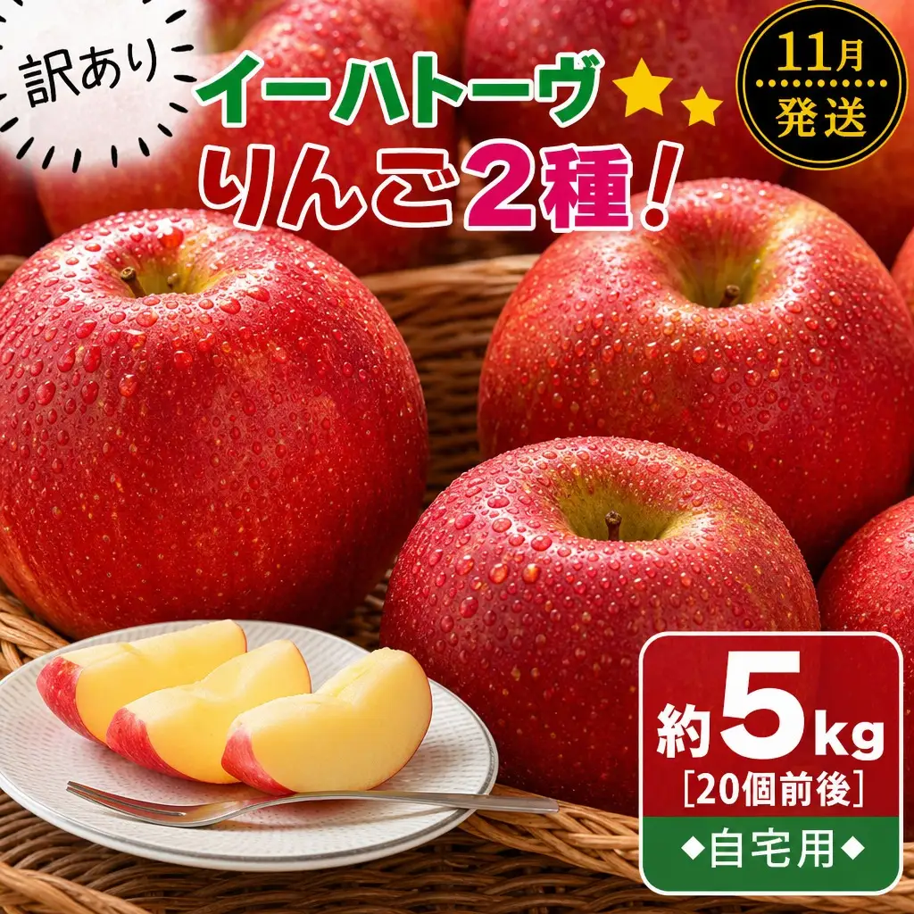訳あり りんご イーハトーヴ 約5kg 11月より発送予定 【280-11-FN】
