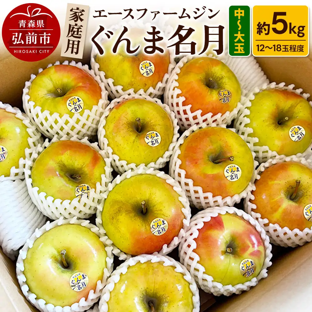 【26年10月下旬～発送】りんご家庭用ぐんま名月 約5kg（中玉～大玉12玉～18玉程度）【先行受付】 青森 果物 フルーツ 林檎 リンゴ くだもの 予約