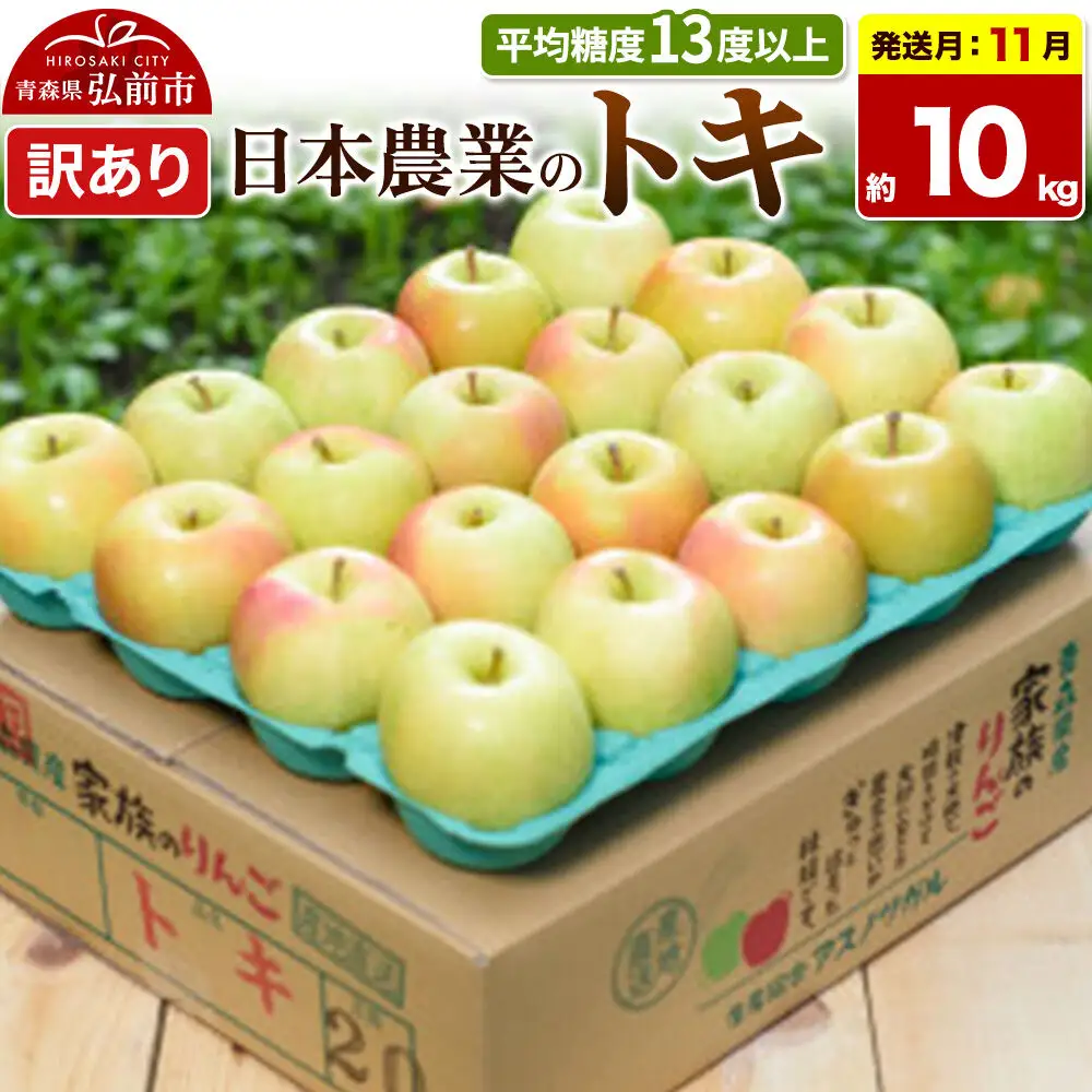 【26年11月発送】りんご トキ【訳あり】約10kg 平均糖度13度以上 青森県 弘前市 果物 フルーツ 林檎 リンゴ くだもの 不揃い 規格外