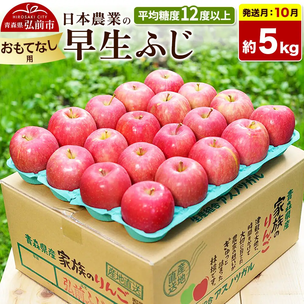 【26年10月発送】りんご 早生ふじ【おもてなし用】約5kg 平均糖度12度以上 青森 果物 フルーツ 林檎 リンゴ くだもの
