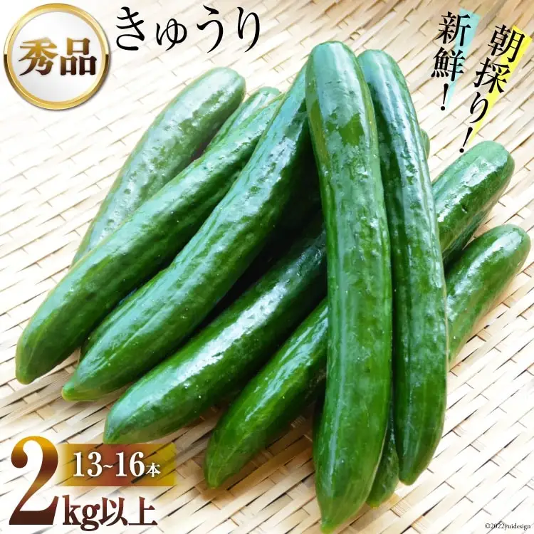 AG063【令和8年度出荷分】【秀品】新鮮 朝採りきゅうり 2kg以上