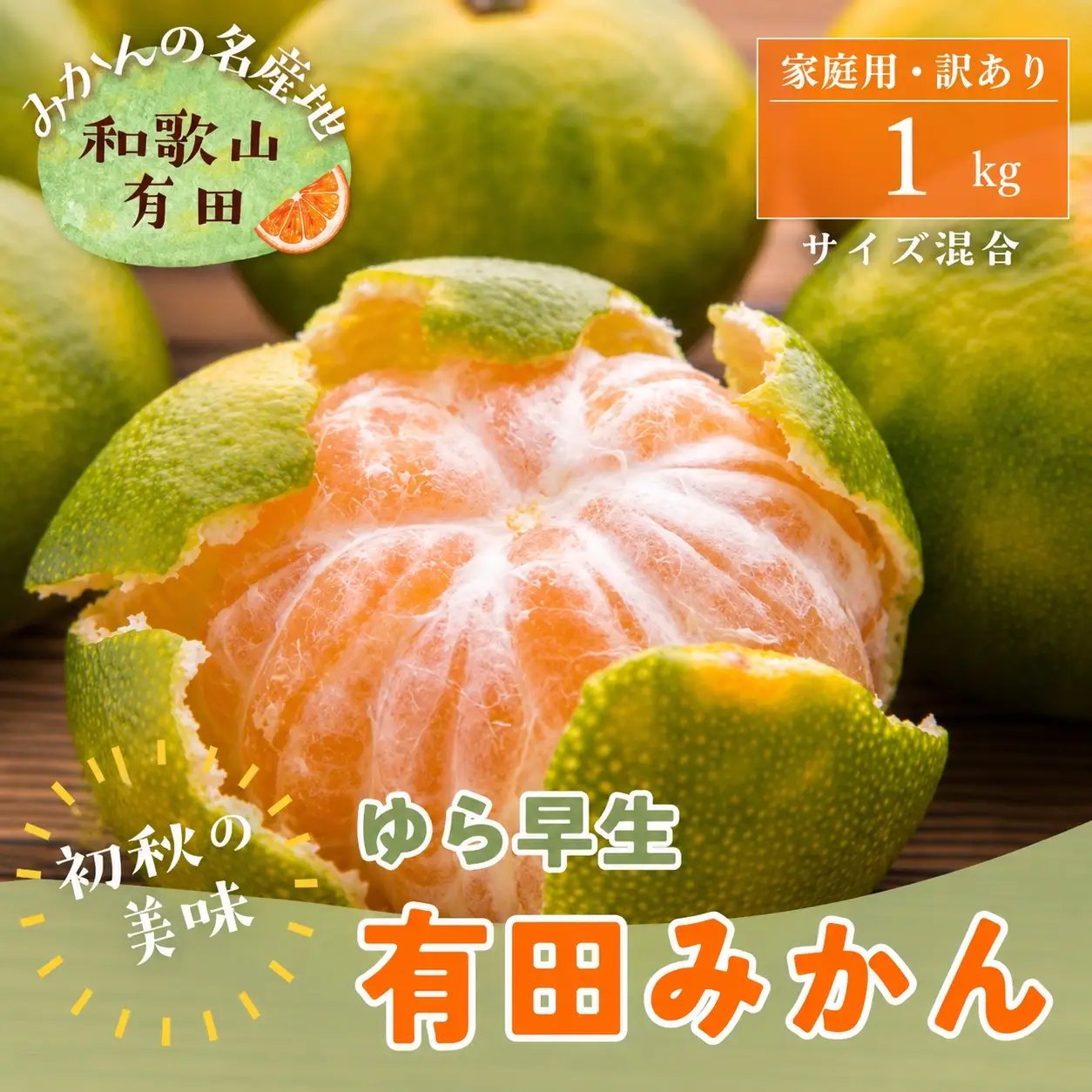 【初秋の美味】ご家庭用ゆら早生有田みかん　約1kg+200g(傷み補償分)【サイズ混合】【2026年10月中旬～11月上旬頃に順次発送予定】【ard052C】
