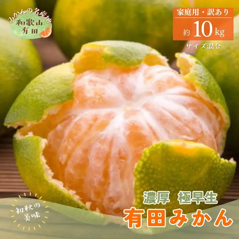 【初秋の美味】ご家庭用ゆら早生有田みかん　約10kg+200g(傷み補償分)【サイズ混合】【2026年10月中旬～11月上旬頃に順次発送予定】【ard053C】