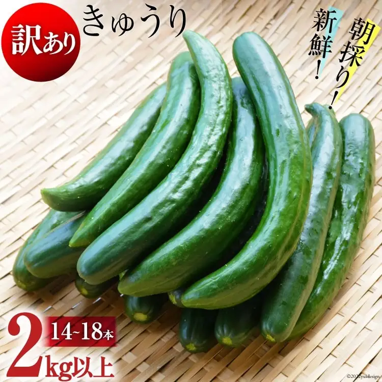 AG064【令和8年度出荷分】【訳あり】新鮮 朝採りきゅうり 2kg以上