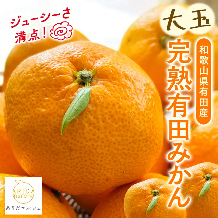 【先行予約】【果汁たっぷり】迫力満点！ 大粒 完熟有田みかん 家庭用 サイズ混合(2L～4L)　約10.2kg(10kg+200g)【2026年11月中旬～1月中旬頃に順次発送予定】【ard055D】