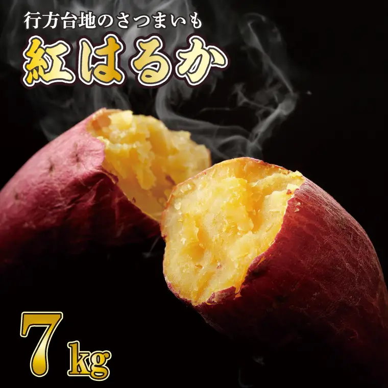 【訳あり】 紅はるか 約7kg 【2026年9月より順次発送】｜紅はるか 無選別 先行予約 行方台地 さつまいも 茨城県(CU-55-7)