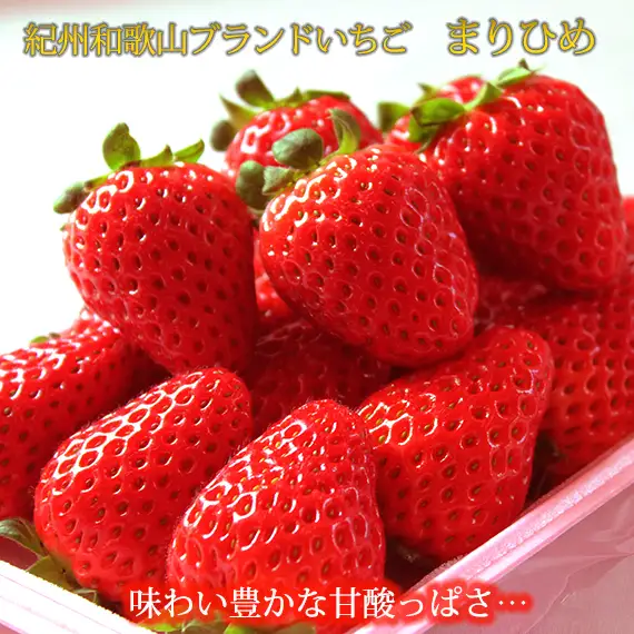 【来シーズン先行予約】紀州和歌山ブランドいちご「まりひめ」約２８０ｇ×２Ｐ※2027年1月上旬頃～2027年3月上旬頃順次発送（お届け日指定不可）【uot759】