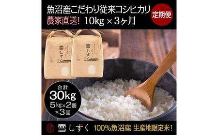 【令和7年産】定期便！魚沼産こだわり従来コシヒカリ【合計30kg】毎月10kg×3回 ブランド米 銘柄米 白米 精米 ご飯 おにぎり お弁当 