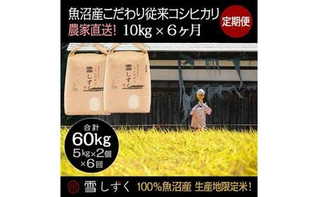 【令和7年産】定期便！魚沼産こだわり従来コシヒカリ【合計60kg】毎月10kg×6回 ブランド米 銘柄米 白米 精米 ご飯 おにぎり お弁当 