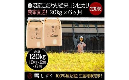 【令和7年産】定期便！魚沼産こだわり従来コシヒカリ【合計120kg】毎月20kg×6回 ブランド米 銘柄米 白米 精米 ご飯 おにぎり お弁当 
