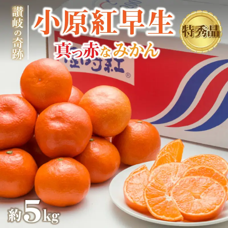 特秀品!小原紅早生真っ赤なみかん(約5kg)