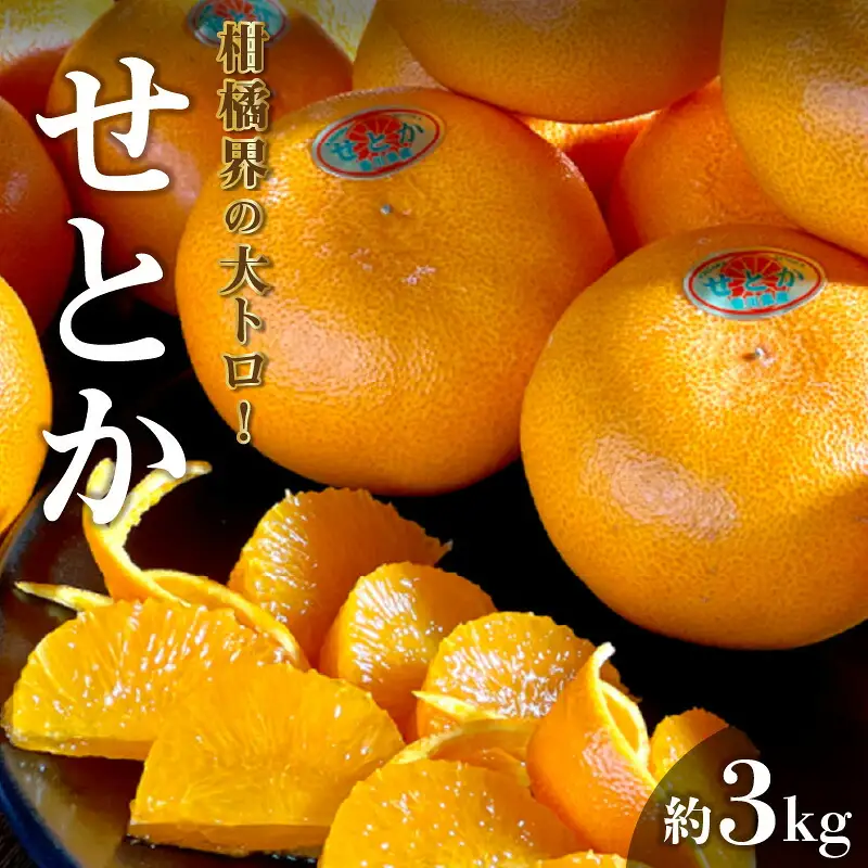 せとか (約3kg)