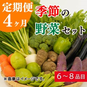 定期便 4回 季節 お楽しみ 野菜 詰め合わせ セット 6?8種 緑新鮮市 キャベツ 人参 にんじん きゅうり じゃがいも なす ほうれん草 小松菜 ピーマン かぼちゃ 白菜 大根 さつまいも 玉ねぎ たまねぎ ブロッコリー トマト オクラ レモン ネギ 生姜 栗 愛媛県 愛南町 (定期便 4回 フレッシュ定期便 お楽しみ定期便 野菜定期便 新鮮定期便）