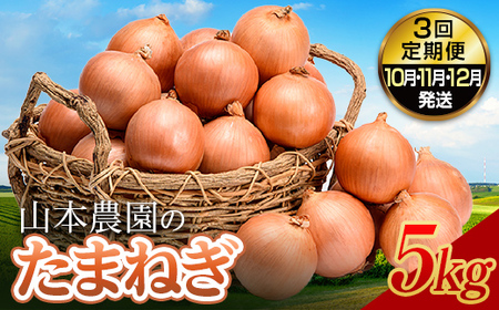 北海道産 たまねぎ 「山本農園のたまねぎ」L〜L大サイズ前後 5kg 3回定期便（10月・11月・12月発送） 南幌町 国産 NP1-349