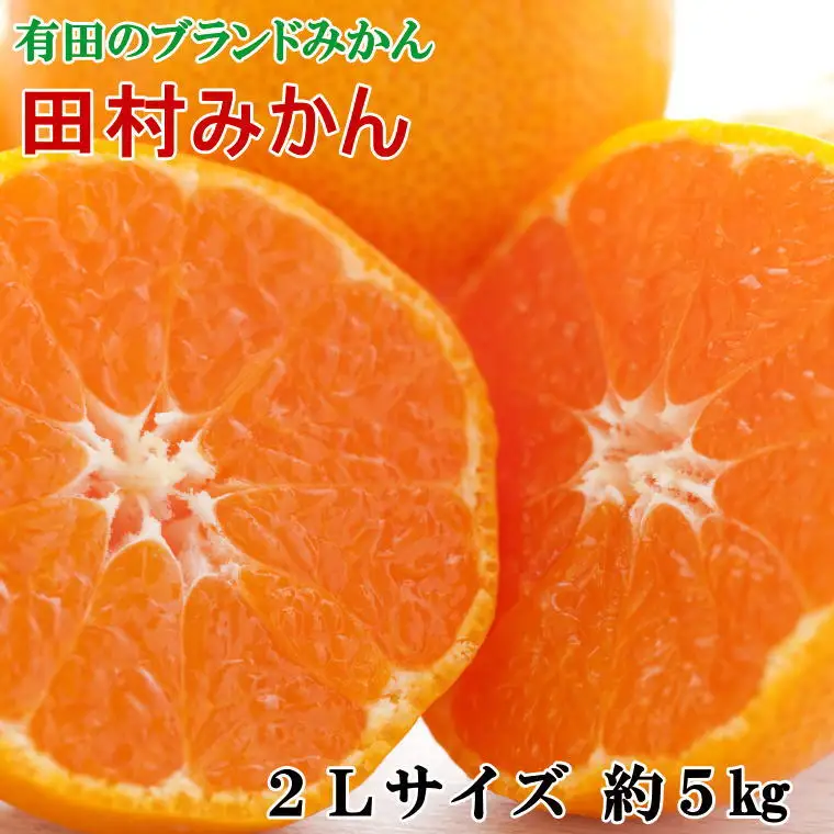【ブランドみかん】田村みかん約5kg（2Lサイズ・秀品）【2026年11月下旬～2026年12月下旬頃に順次発送】【tec882A】