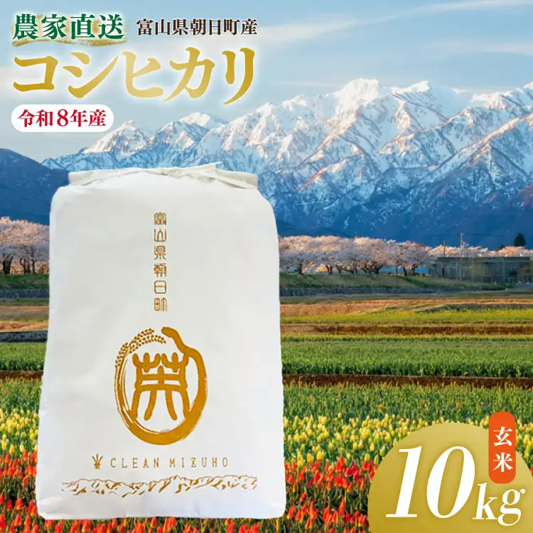 米 令和8年産 こしひかり 玄米 10kg 【期間限定発送】