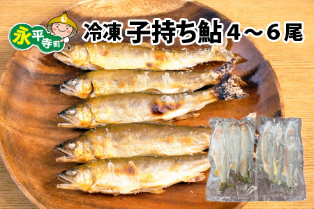 冷凍 子持ち鮎 4～6尾 [B-016010]