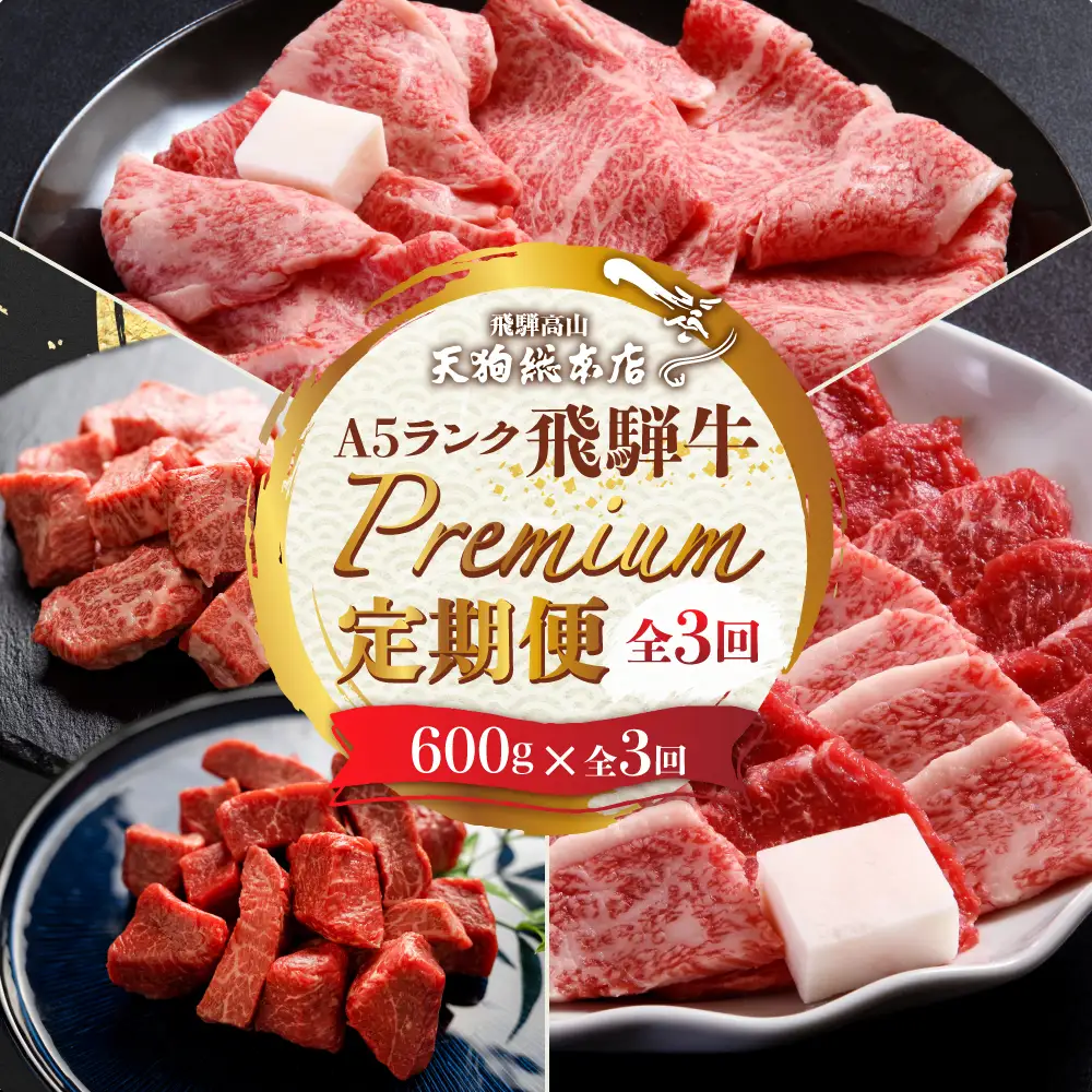 定期便 A5飛騨牛 定期便  全3回 約1.8kg (600g × 3ヶ月) BP102