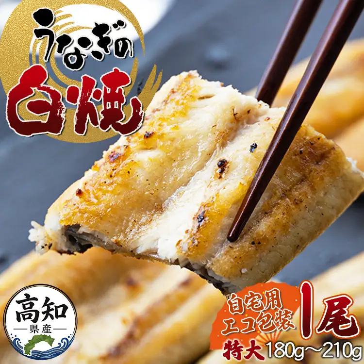 高知県産うなぎの白焼特大サイズ(180～210g)×1尾【うなぎ うなぎ うなぎ 養殖うなぎ 高知県産うなぎ 丑の日】 yw-0042